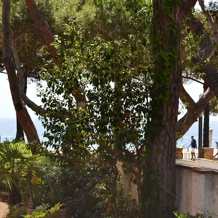 Apartament Con Jardin *