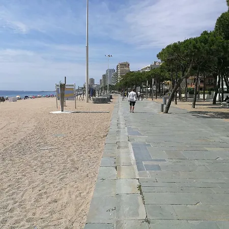Con Jardin Lejlighed Platja d'Aro