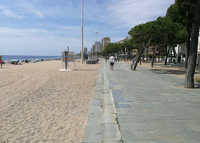 Con Jardin Daire Platja d'Aro